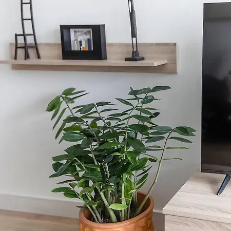 Espacioso A 9 Min Playa